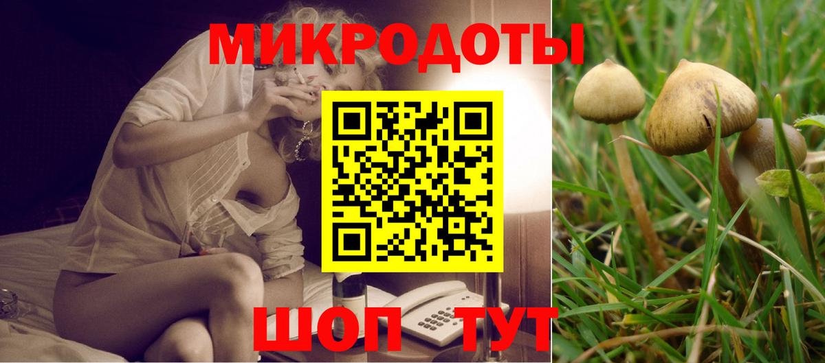 Галлюциногенные грибы прущие грибы  Вход с VPN  Елец 